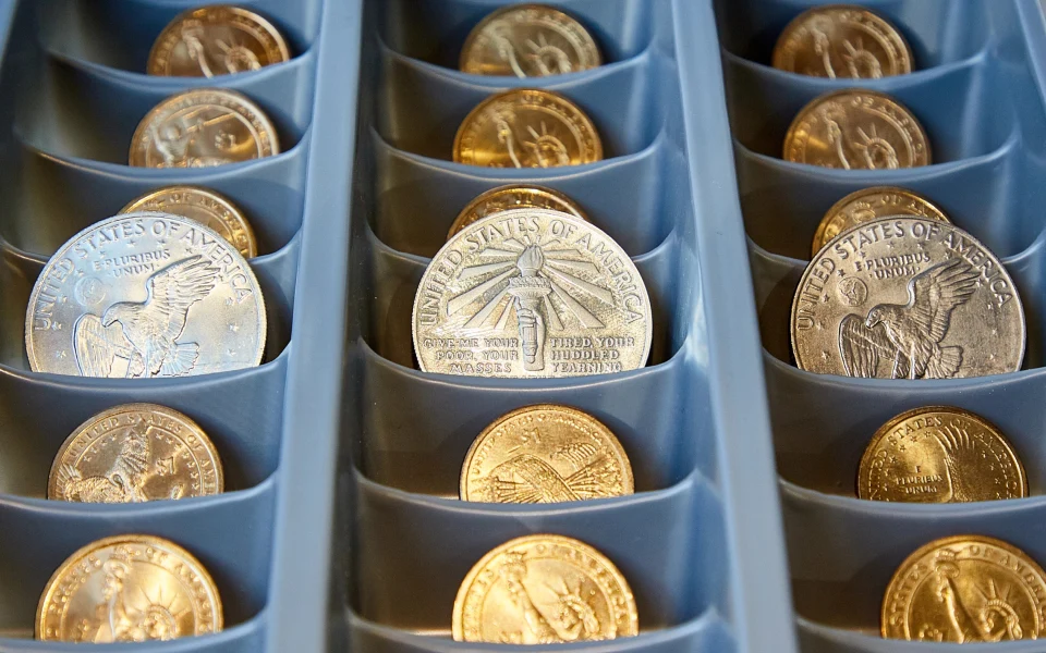 Bullion Coins Storage